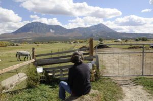 Relaxing on the Farm