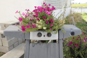 Old grill flower planter