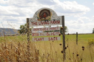 Sign Post on Green Tractor Rd